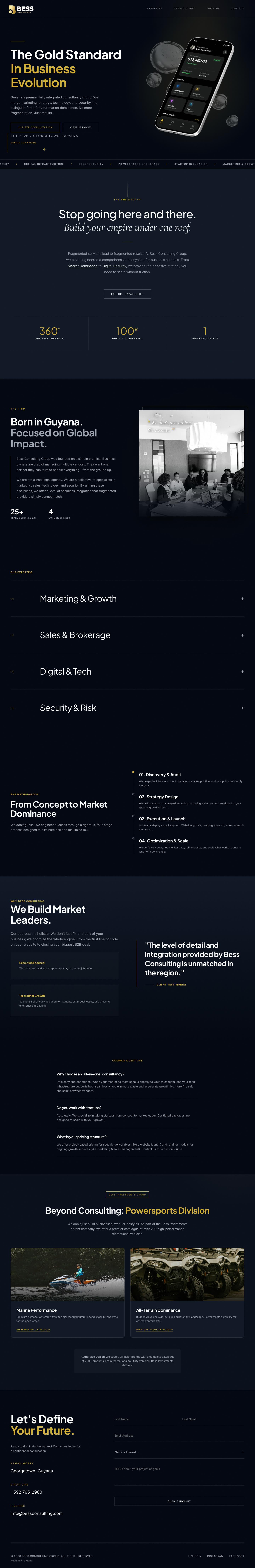 Bess Consulting Group, full page on a laptop